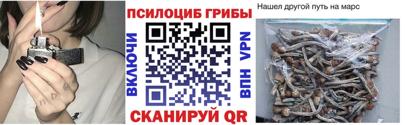 что такое наркотик Заозёрск ссылка на мегу tor Псилоцибиновые грибы Magic Shrooms
